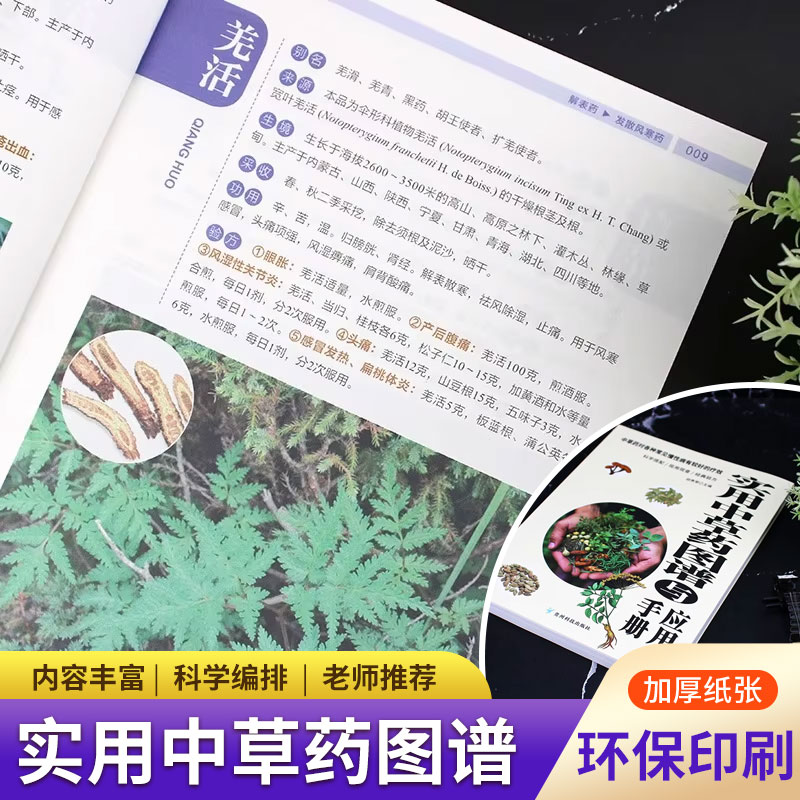 実践的なハーブアトラス＆マニュアル：症状ガイドと健康のヒント - Wellness Herbal Medicine のレビューと価格